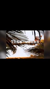 This weeks video | Indonesian Parrot Project