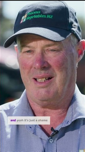 350 jobs on the line as Wattie’s proposes major NZ shake-up | Stuff.co.nz