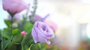 Light purple, Decor Of Bouquet flower artificial blossom pastel, Flowers decor in wedding ceremony, reception dinner party, Flora's Background with soft focus