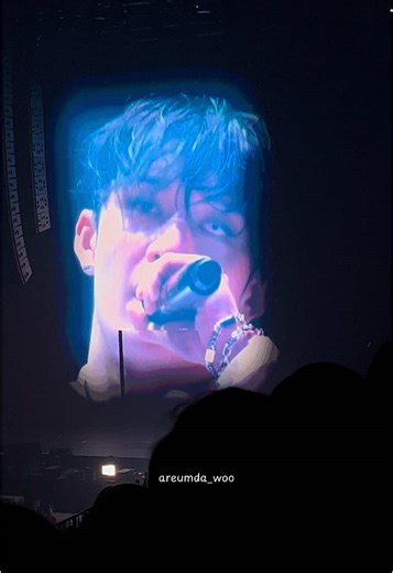 Stray Kids Bang Chan Dominates Jakarta with Skz on World Tour