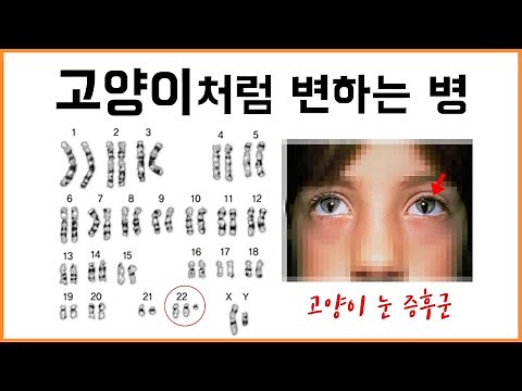 염색체에 이상이 생기면...?! - 염색체 돌연변이
