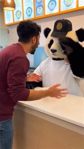 Panda Counter Scene 🐼🍜 #shorts #funny #petlovers
