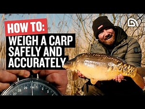 How To Weigh a Carp Safely and Accurately | Carp Fishing Tips | Trakker
