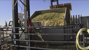 University of Idaho engineering 'smart' wine vineyard across the country