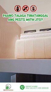 2.1K views · 6 comments | Termites don’t knock. They just eat your walls from the inside. Sa JTO Pest Control, we don’t just spray and go. We inspect, identify, and eliminate the source, safely and completely. ✅ Free inspection muna ✅ Targeted treatment for your exact pest problem ✅ Safe for family, pets, and your home  Message us now and get your free home inspection today! | JTO Pest Control Services | Facebook