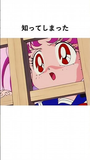 [知ってしまった!]ちびうさについて解説 #アニメ #セーラームーン
