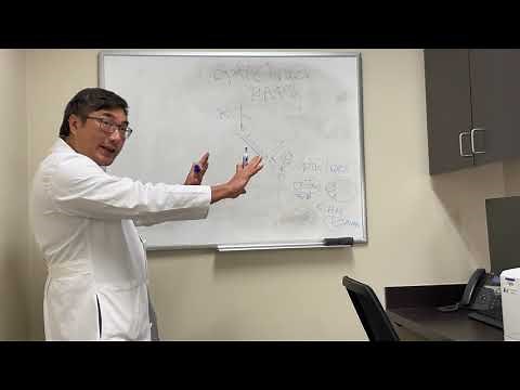 Why optic tract lesions cause an RAPD