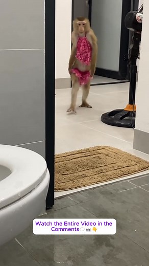 Monkey Lyly poops while swimming happily, and what will happen next....#monkeyLala #Monkeykaka #Cubismonkey #expore #trending #monkeyBibi #monkeyCUTIS | Monkey Ly Ly