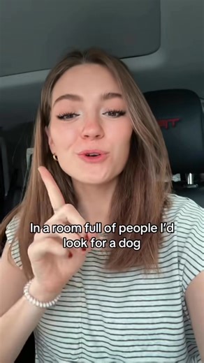 25K views · 443 reactions | Dogs are just better | JustJordan33 | Facebook