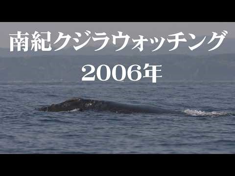 南紀クジラウォッチング 2006年