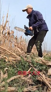 Top 10 Chinese Cooking Secrets Revealed