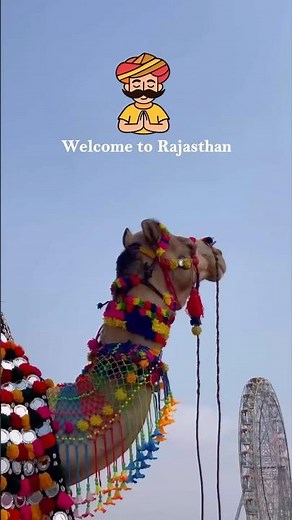 Welcome to Rajasthan ✨