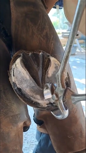 #hoof #hoofcare #fblifestyles #satisfying #hooftrimming | Tony hoof clean