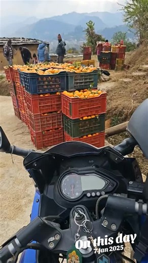 #onthisday #organic #orange #nature