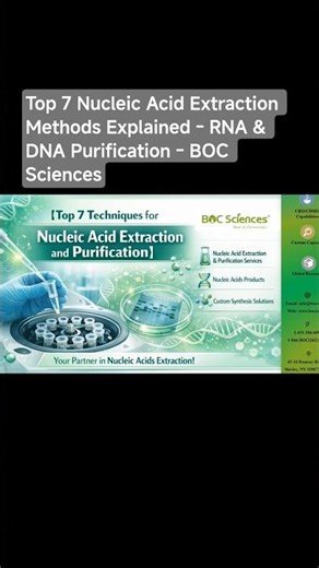 Top 7 Nucleic Acid Extraction Methods Explained - RNA & DNA Purification - BOC Sciences