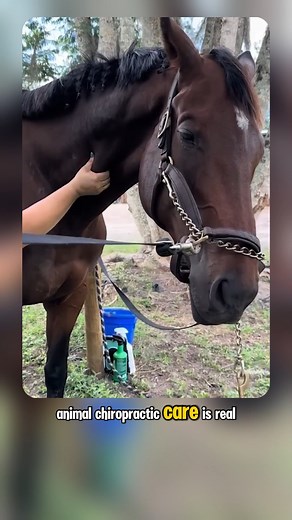 1.6K views · 38 reactions | Moments Broke Millions of Hearts ❤ | Cute Things | Facebook