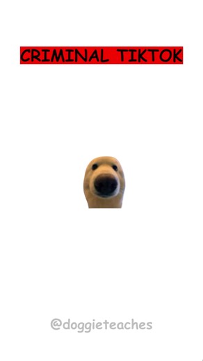 Doggie Explains How to Cash a Check (Get Your Plush — Link in Bio) Step one — stare at the check like it might disappear. 🐾💸 Step two — take it to the bank and act like you’ve done this before. Confidence matters. Step three — sign the back dramatically. That’s the ritual. ✍️ Step four — walk out richer by exactly the amount written. Celebrate responsibly. Bonus move? Turn that check into a cuddle investment. 👉 Get your Doggie Teaches Plush — link in bio. 🧸🐶 #dogs #satire #doggieteaches #pl