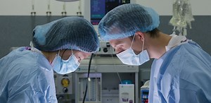 UK organisations release annual statistics for use of animals in research