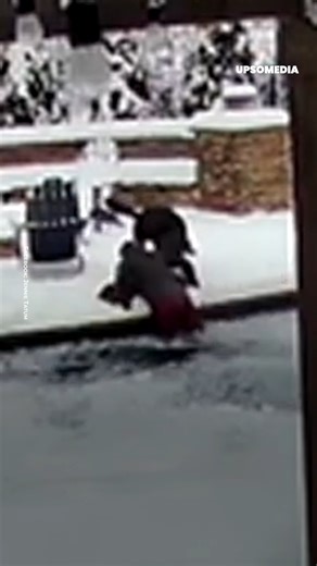 175K views · 1K reactions | Cette #femme n'a pas hésité une seconde, dès qu'elle a vu que son #chien était tombé dans une #piscine gelée, elle a immédiatement sauté pour le sauver. 梁❤️ | Positif | Facebook