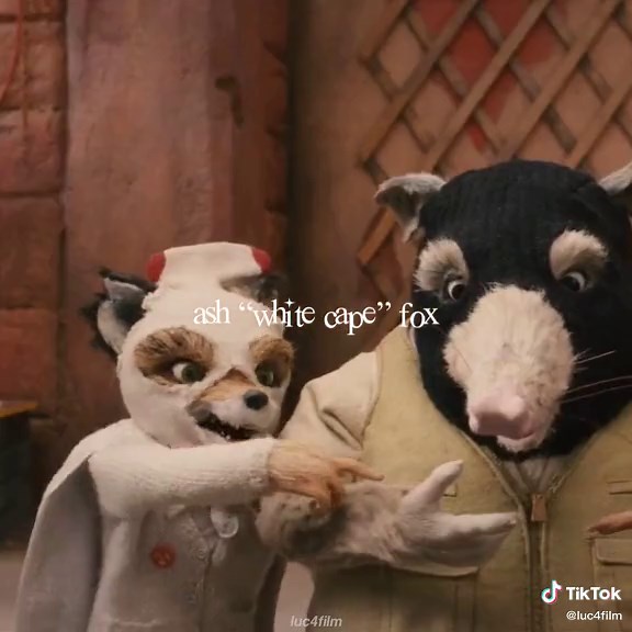 Ash - A Beloved Character from Fantastic Mr. Fox