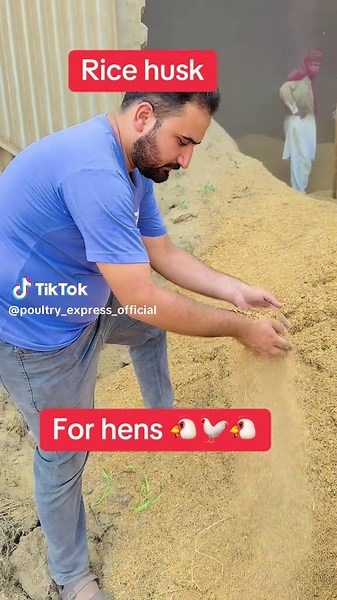 Benefits of Rice Husk for Poultry Nutrition