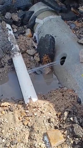 18K views · 17 reactions | Lithgow City Council on Reels | Facebook