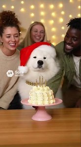 They Sang Happy Birthday… Then Took Everything