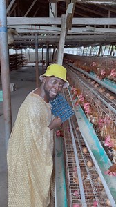 Baba Aladiye is back 🐓 | Boda Wasiu