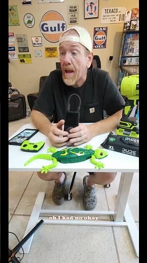 Wall Crawler Gecko, Winktoys Remote Control Toy, Electric Lizard Toy with LED Glowing Eyes, 360°