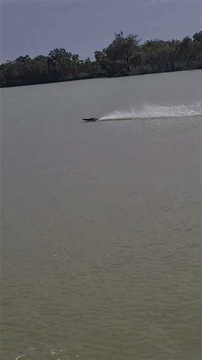 driving my new sonic wake #rcb #rcboat #boat