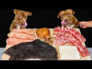 Best crunchy eating sounds dog eating raw foods