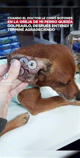 Videos de Gabriela Lopez (@gabriela.lopez0165) con “Staff Roll - Instrumental Version - 3000m”