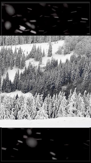 28 reactions | Rubber B - Luxury Watch Straps on Reels | Facebook