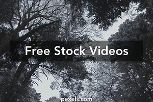 Snow Wallpaper Videos, Download The BEST Free 4k Stock Video Footage & Snow Wallpaper HD Video Clips