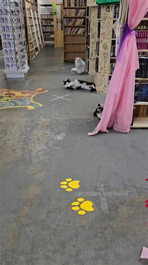 33% Off Gently Used Books at Our Bookstore!