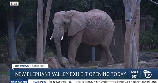 San Diego Zoo Safari Park in Escondido opens Denny Sanford Elephant Valley
