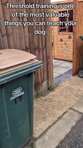 Threshold training 🧱 What It Is Threshold training (boundary version) means teaching your dog to wait at a specific line or opening — such as: • A doorway (not bolting out when it opens) • A garden boundary (not leaving the property) • A crate or car door (not jumping out until told) This is sometimes called: • Boundary training • Perimeter training • Doorway threshold training 🎯 Goal The goal is for your dog to understand: “I stay behind this line until my human releases me.” It’s about safet