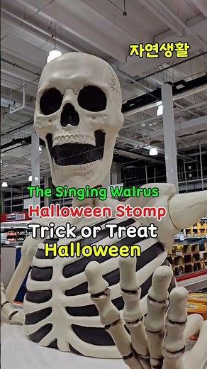 The Singing Walrus_Halloween Stomp_Halloween Song for Kids #shorts#Halloween