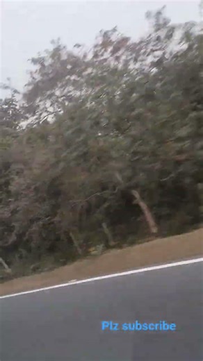 enjoy the party dear