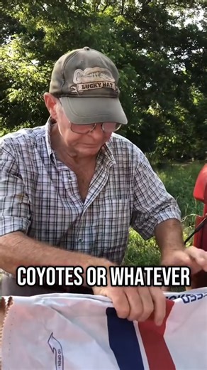 Docility Gene in cows and how it works for and against farmers #cow #farm #farmer #tiktoklive #livehighlights. | The Cussing Farmers