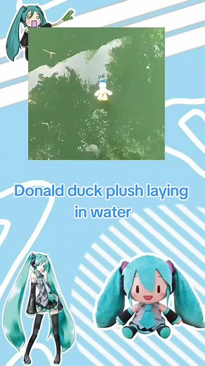 Donald duck plush laying in water || #hatsunemiku #croppedmeme #croppedvideo #croppedmemes #croppedvideos #miku #croppedvid #croppedvids #croppedfunnymeme #funnymeme #projectsekai #projectdiva #floptok #vocaloid #hatsunemikuvocaloid #meme #fyp #fypage #stantwitter #xyzabc #cropped #memes #hatsunemikucrops #mikucrops #colorfulstage #pjsekai #hatsunemikucolorfulstage #viral