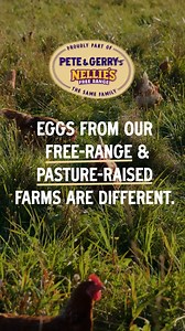 Think all eggs are the same? Think again. The free-range and pasture-raised eggs from Pete & Gerry's Family of Brands come from healthy hens raised with hands-on care in the fresh air and sunshine. Unlike caged and cage-free farms, where over 99% of avian flu cases have occurred, we do things differently. So you can always believe in what you buy. | Pete & Gerry's