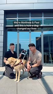 Take a peek at Paul’s new book “Mr Maple: A Guide Dog’s Journey” 👉🏻 https://www.kickstarter.com/projects/pengrooms/mr-maple-a-guide-dogs-journey | Matthew and Paul