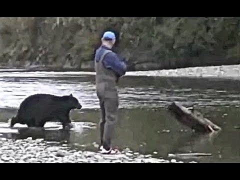 MAN AND BEAST - Part 25