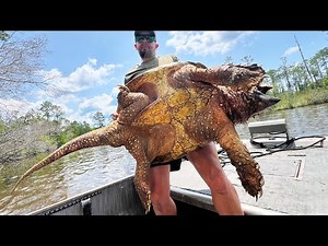 We Caught the GIANT SNAPPING TURTLE Lurking in this Bayou!