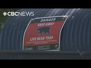 Bear trap set at Burnaby Mountain Park after close call with park goers captured on video