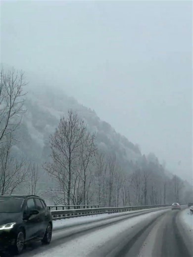 Winter. Wood | Scenic Drive | Windshield View | 4K | No Talking