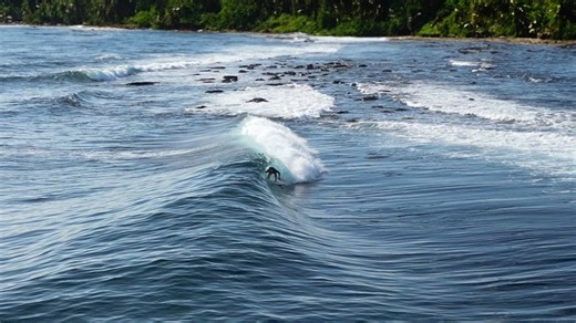 Scoring Perfect Waves at a Secret Novelty Spot