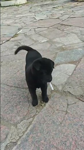 Unleash the Beauty in Every Puff 🌟 SmokingExperience