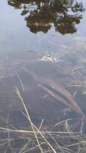 Life of bubble | Mr Sam Cotton